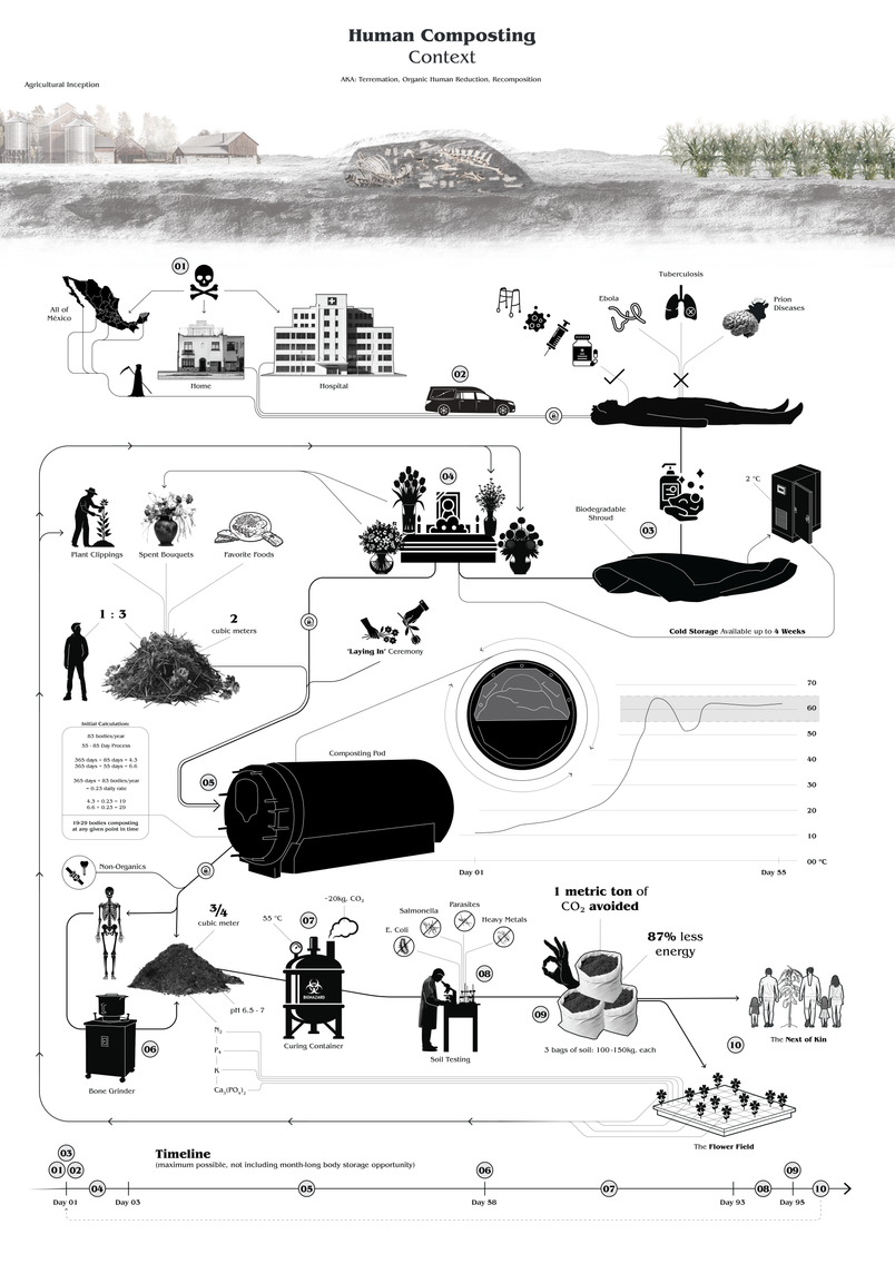 Diagram showing the process of Human Composting