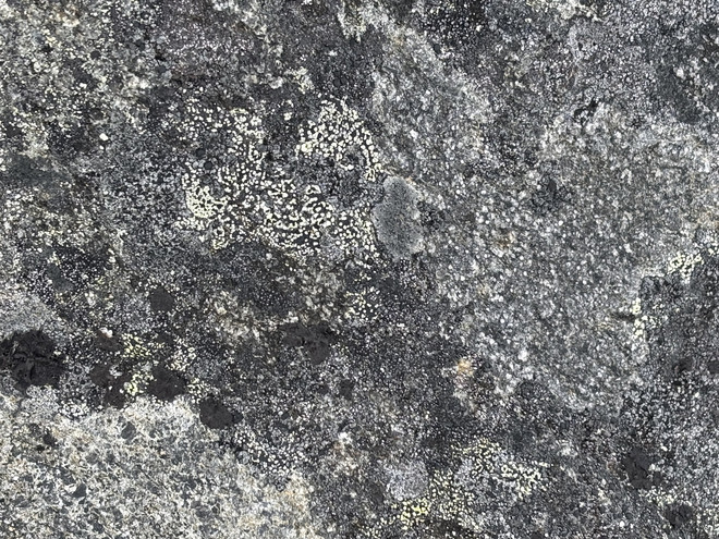 Fjeld texture