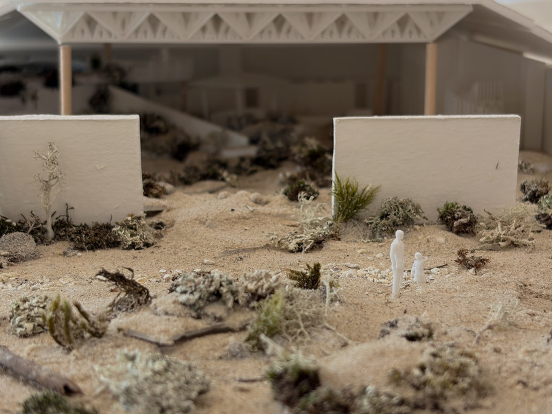 1:100 model