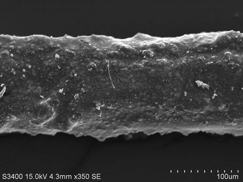 Oil paint on hair seen in SEM