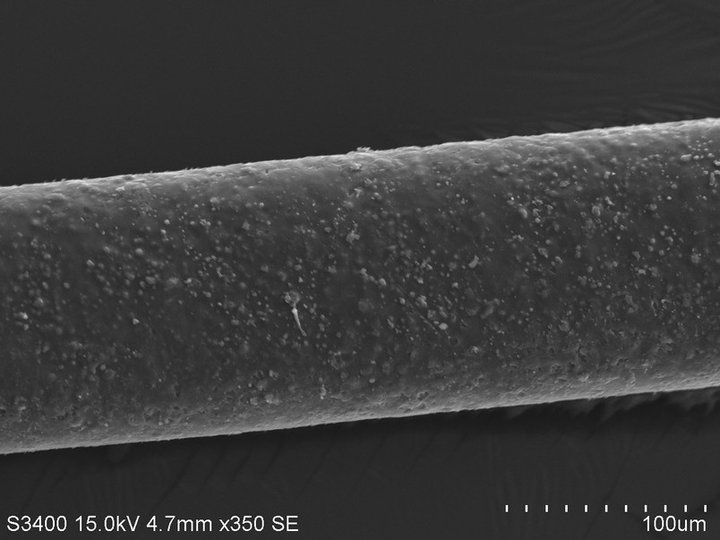 Orasol Dye on hair seen in SEM