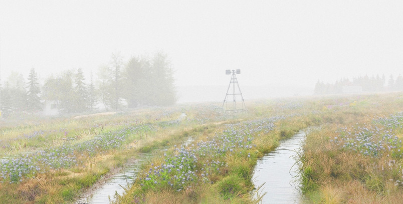 Visualisation M —  The Wet Land