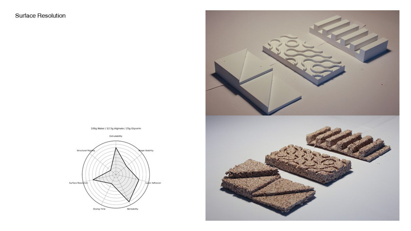 Surface Resolution