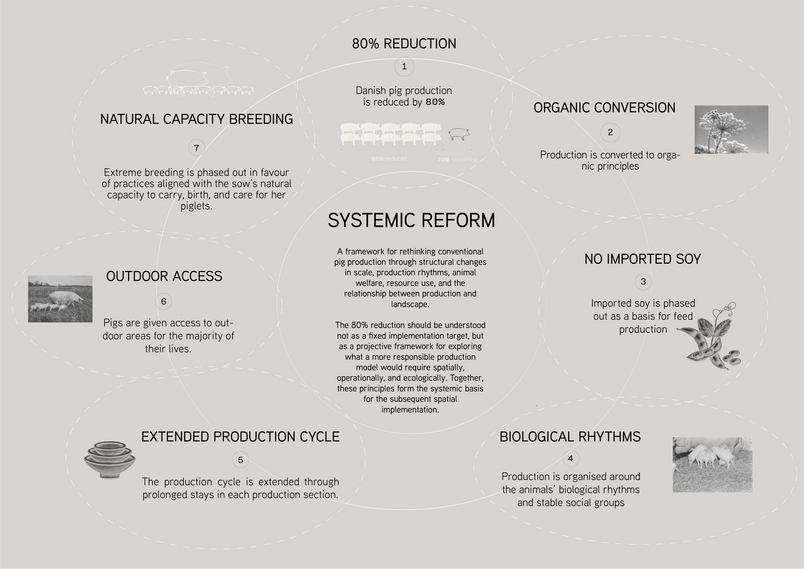 Systemic Reform Diagram