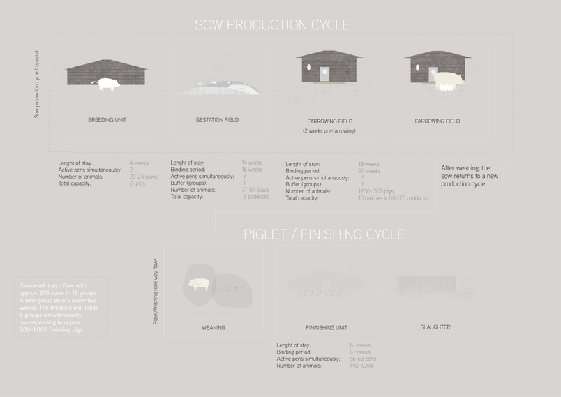 New production cycle