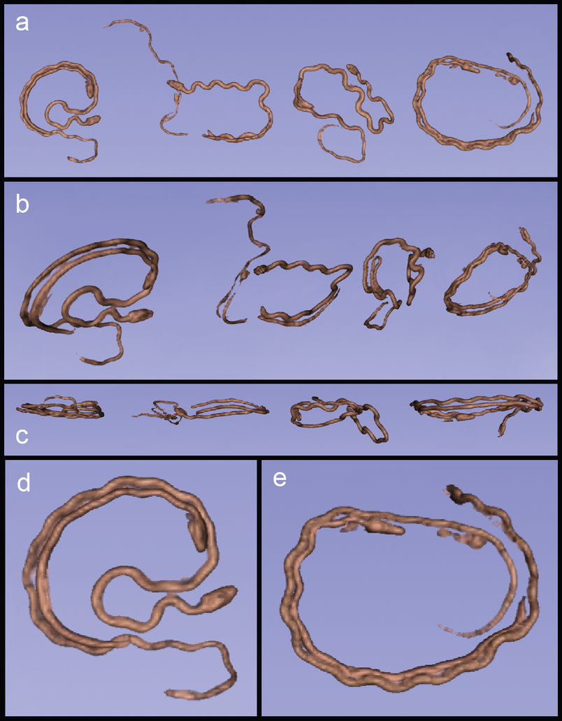 3D-model of four outliers from the dataset containing their last meals.