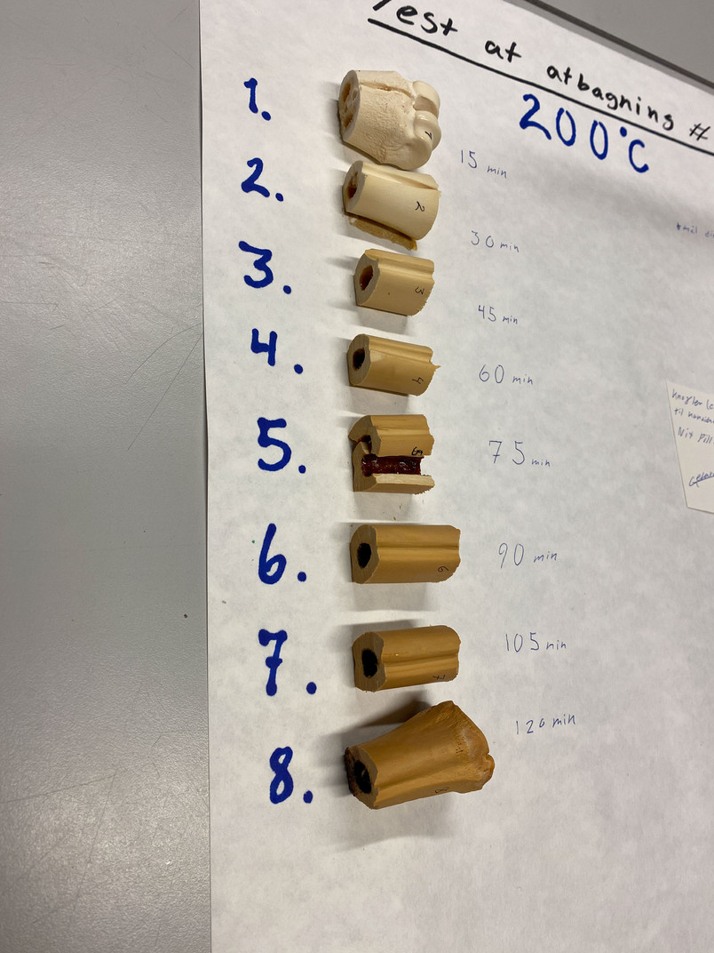 Små stykker knogle i forskellige farver ligger på et bord og de har fået numre fra 1 til 9