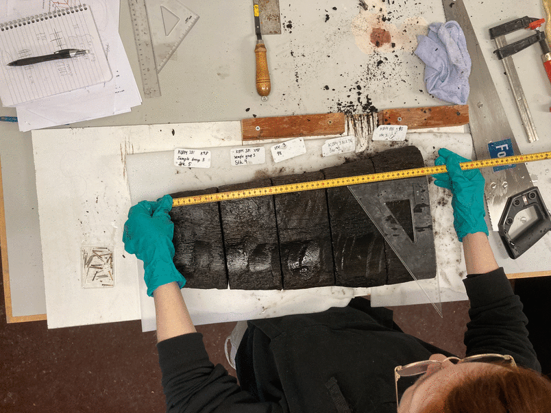 Documentation of model material before conservation