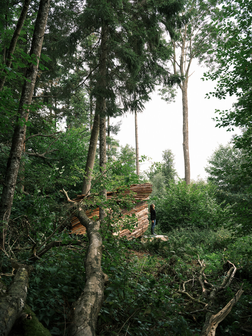 Reshelter