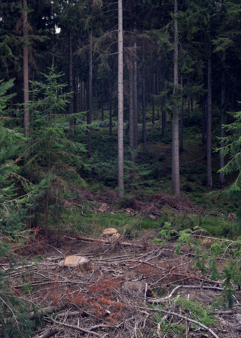 ATLAS 01, Egeparken 1:1, 2026