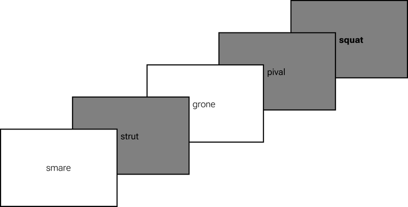 Model of the experiment design