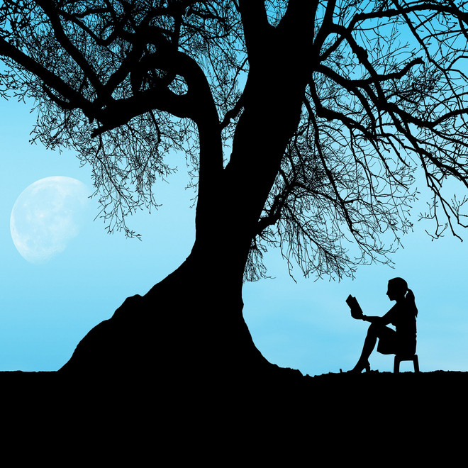 Photo: Susan Cipriano on pixabay.com