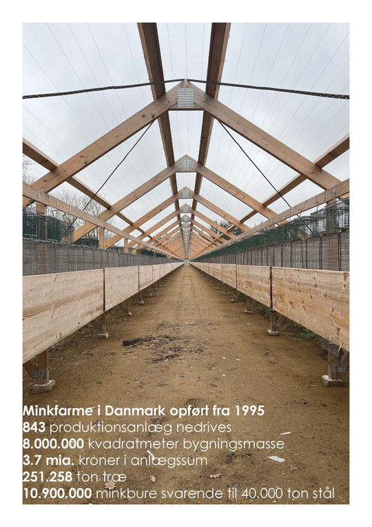 Minkfarm billede 