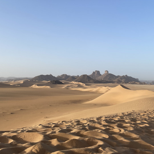 The Sahara desert. Red dunes.