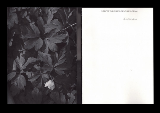 Titlepage