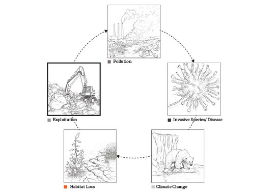 Cause of Biodiversity Loss