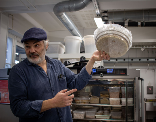 Person holder en rund beholder med dyrket mycelium foran et inkubatorskab i et laboratoriemiljø.