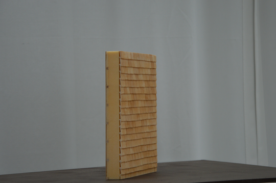 Facade section model 1:10