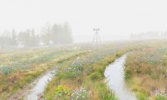 Visualisation M: The Wet Land