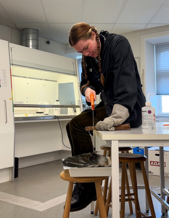 Studerende sidder på et bord og saver i en rådyrekølle. Det foregår i et laboratorium.