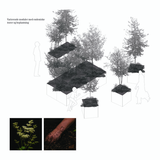 Concept illustration of varied-size planters with trees and endemic planting.