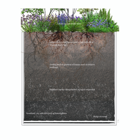 Section through a planter showing vegetation, soil, humus, water-retaining layer, geotextile, and drainage.