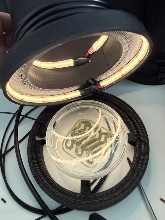 Nærbillede af en rund lampe med lysende LED-strips over en gennemsigtig beholder med væske.