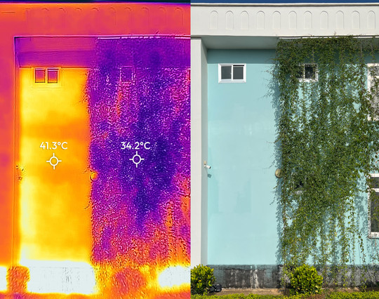 Termografi og foto af en facade viser temperaturer på 41,3 °C uden planter og 34,2 °C med planter.