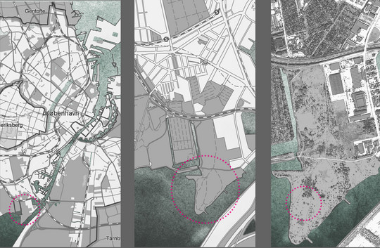 The site