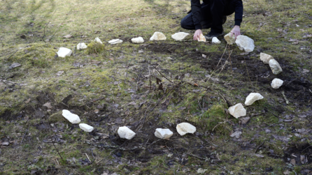 Stone Circle, Valea Şesei