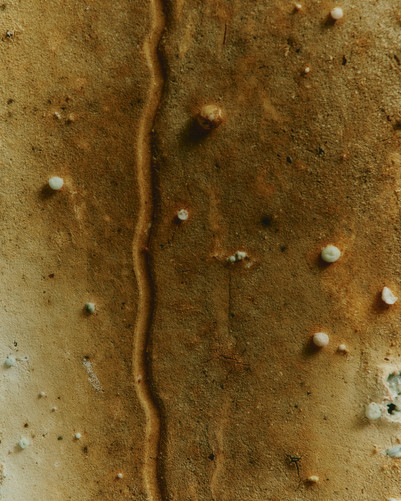 Unwasted tile, close up Unwasted tile