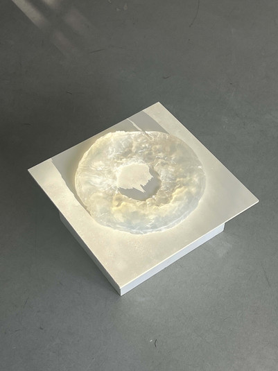 LANDSCAPE, SOAP MODEL, SCALE 1:100
