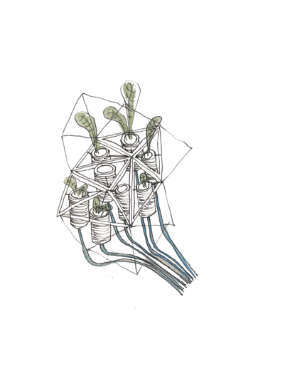 PLANT CONCEPT