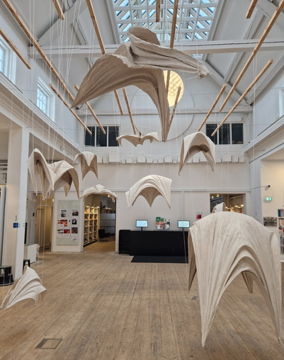 Finding form structures hanging like birds in the air