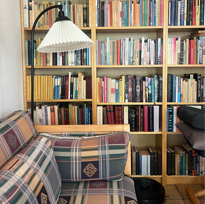 Reol fyldt med bøger bag en sofa og en standerlampe i et hjemligt rum.