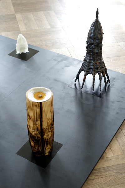 Material Witnesses, Bog Body and Pyrite Font