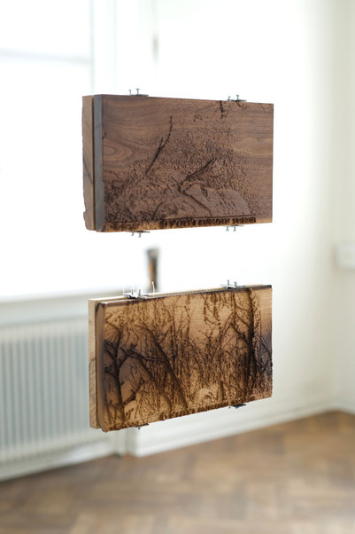 Icons, Nocturnal Animals. Valea Șesei, 2026. Walnut, 300x168