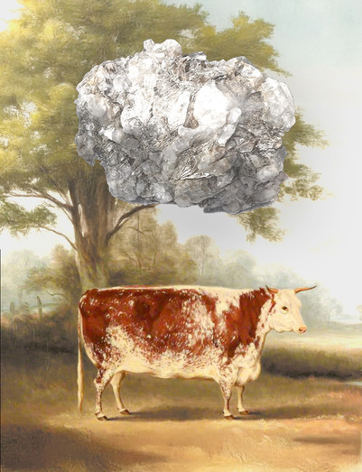 Of Rocks and Beasts