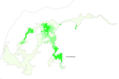 Iltsvind i Limfjorden