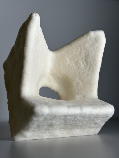 Genstand af mycelium materiale
