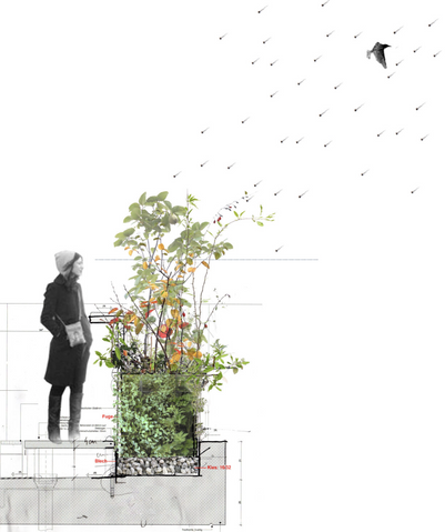 Collage of a densely planted planter with a person beside it and birds overhead.