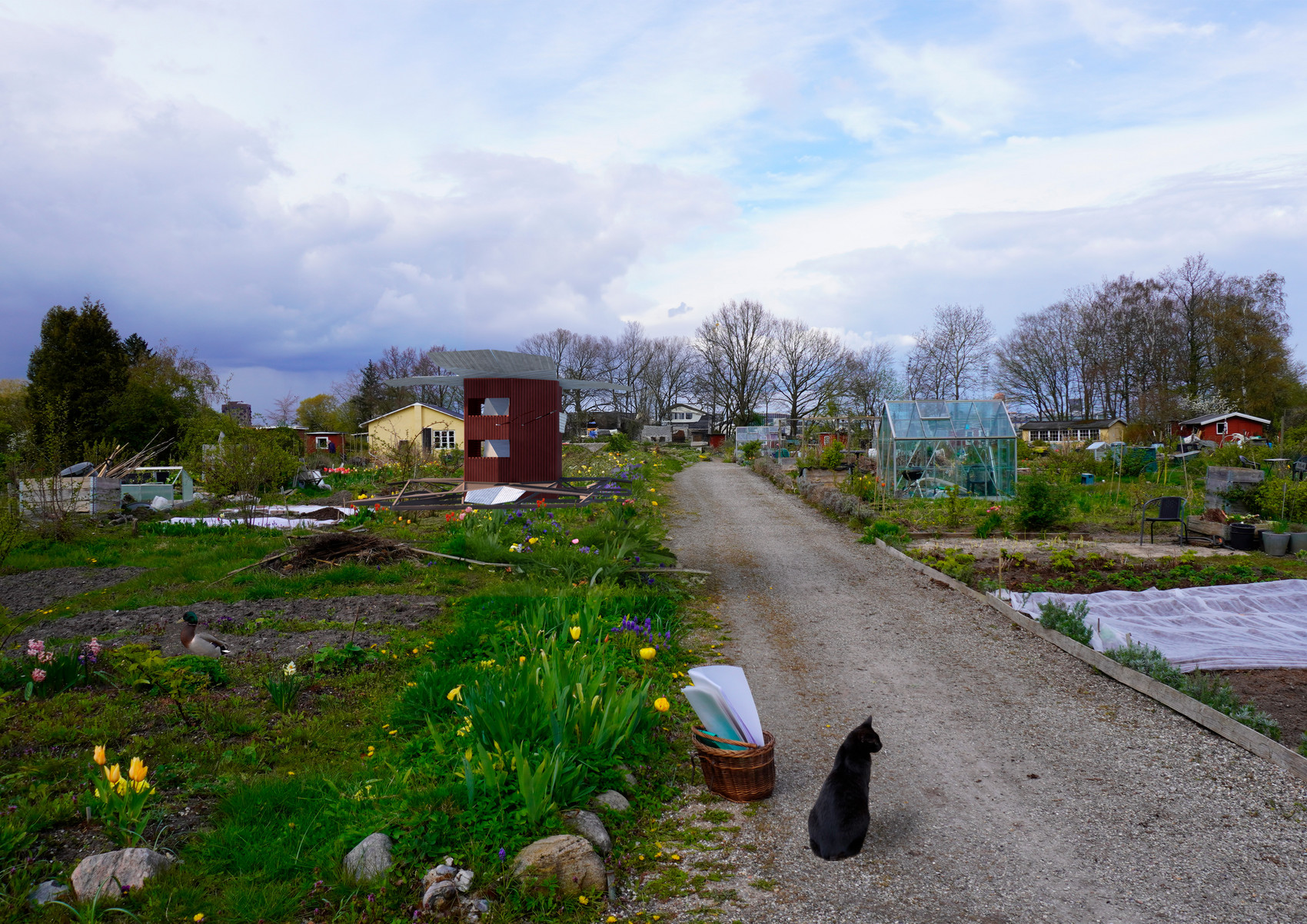 Render_01_ of project on site