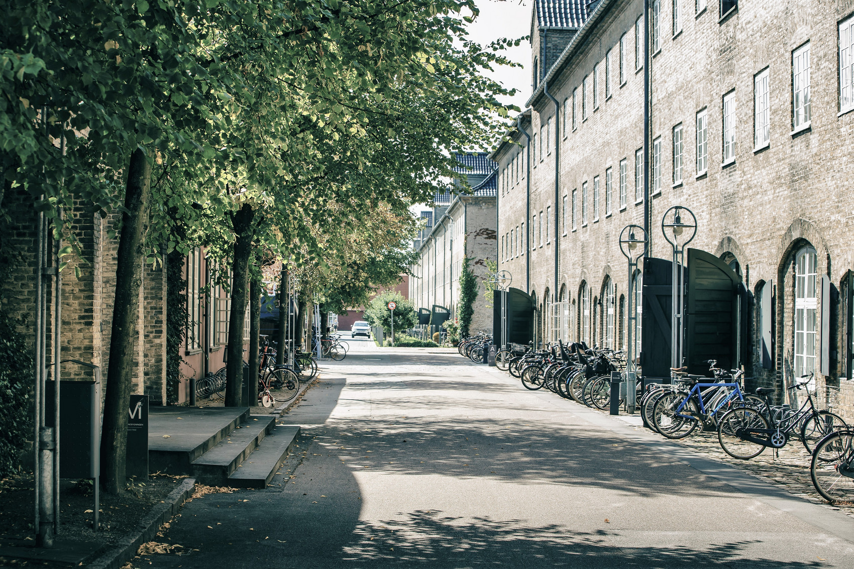 Det Kongelige Akademi