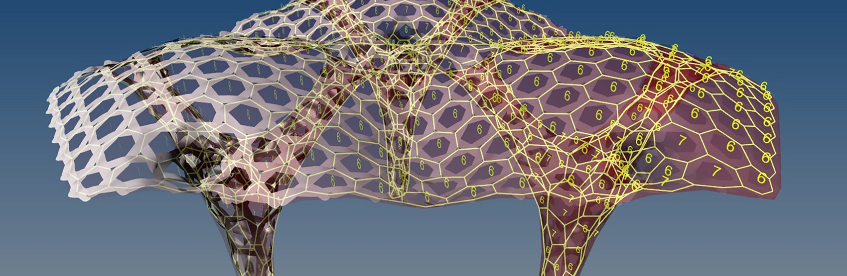 Kagome architectures - weaved structure