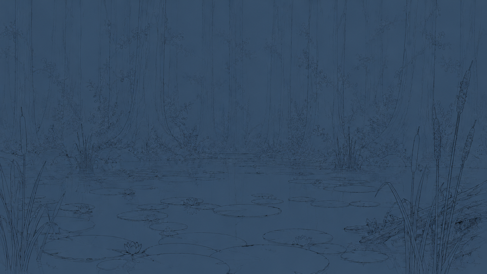 Waterlily Sketch