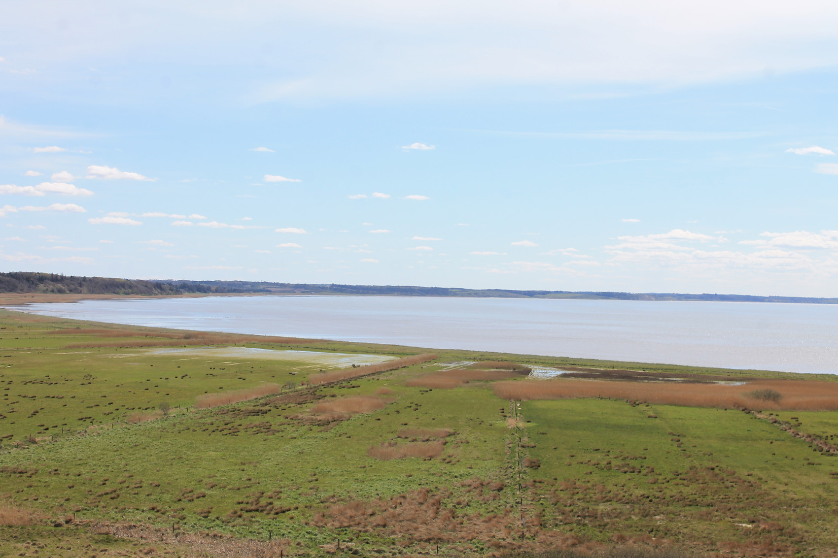 site
