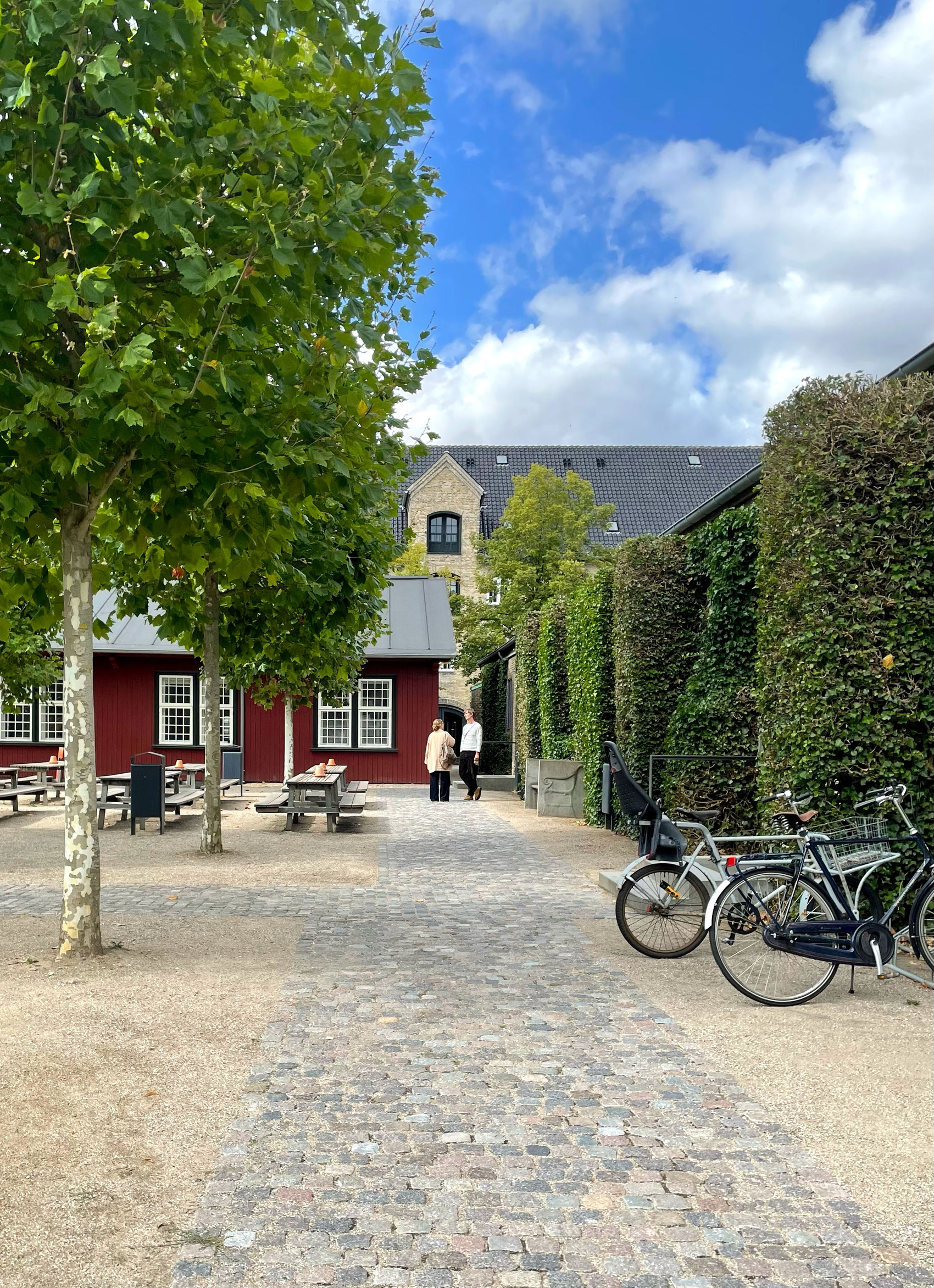 campusområde det kongelige akademi