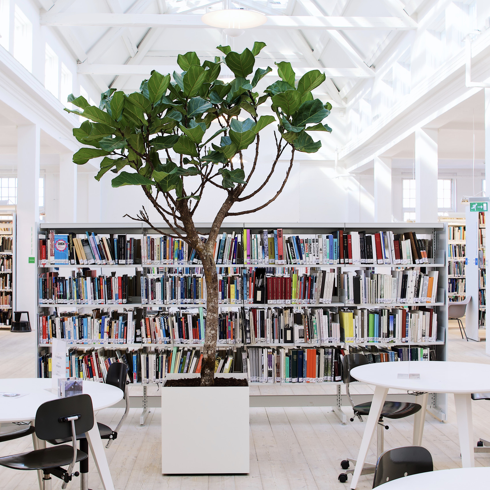 Biblioteket